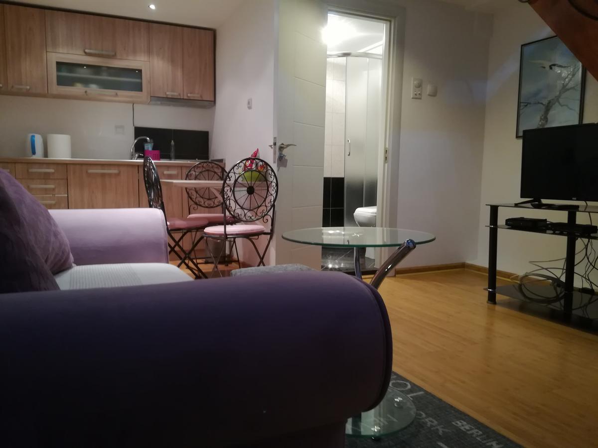 Apartman Galerija Apartment โนวีซาด ภายนอก รูปภาพ