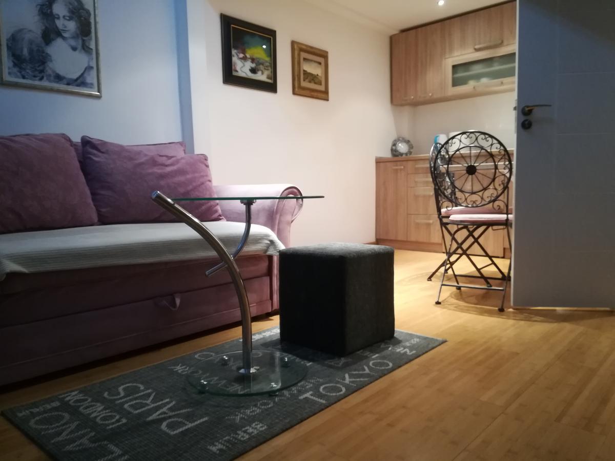 Apartman Galerija โนวีซาด ภายนอก รูปภาพ